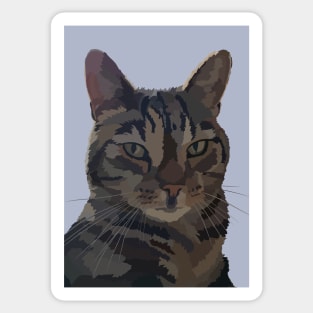 Gorgeous George the Tabby Cat Sticker